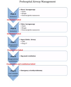 Microsoft Word - PHAM eng.docx
