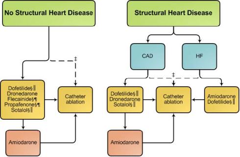 Strategies for Rhythm Control in Patients with Paroxysmal and Persistent AF
