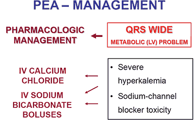 PEA evaluation algo2