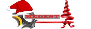 Logo MEDEST xmas