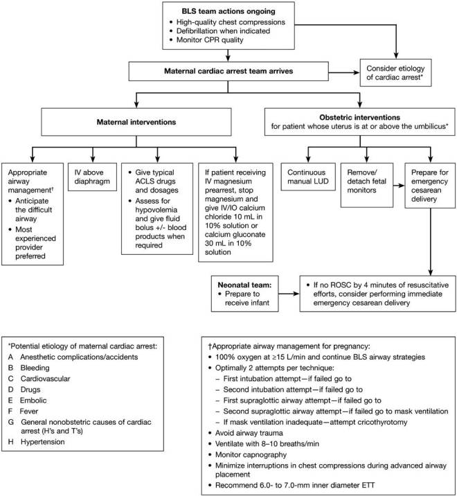 Cardiac Arrest in Pregnancy 3