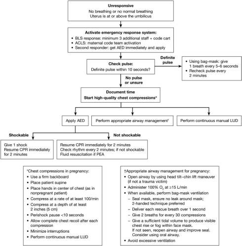 Cardiac Arrest in Pregnancy1
