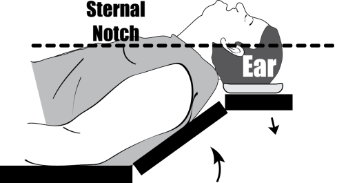 cb40883792d0b012c5f426f91dcb2c2bcda633c3