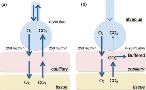 Screenshot 2019-05-28 at 20.47.47